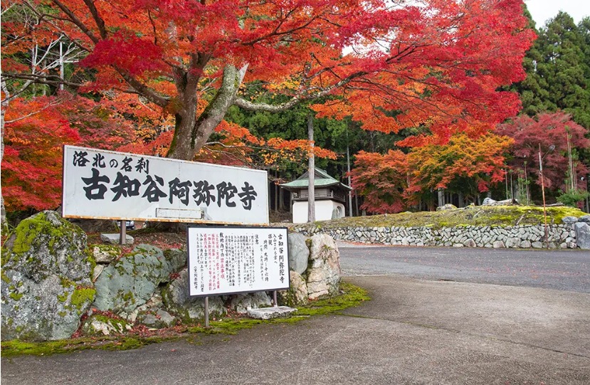 スクリーンショット_12-3-2025_134741_10yearkyoto.com