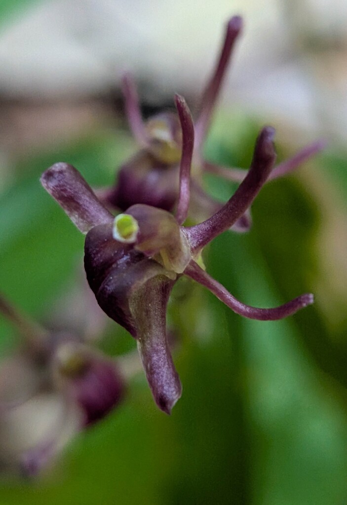 1000000097 - コピー (2)