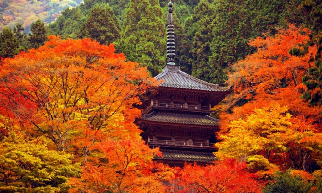 Web キャプチャ_22-9-2023_171548_www.tambacity-kankou.jp