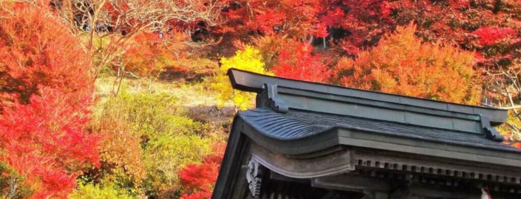 Web キャプチャ_22-9-2023_1791_www.tambacity-kankou.jp