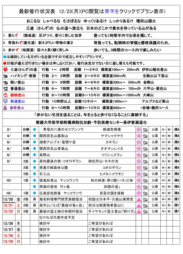 スクリーンショット_20-12-2024_23213_