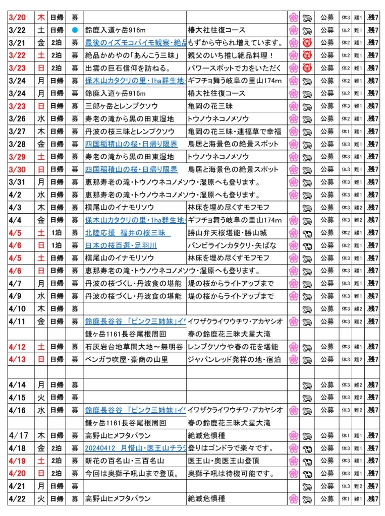 スクリーンショット_20-12-2024_23328_