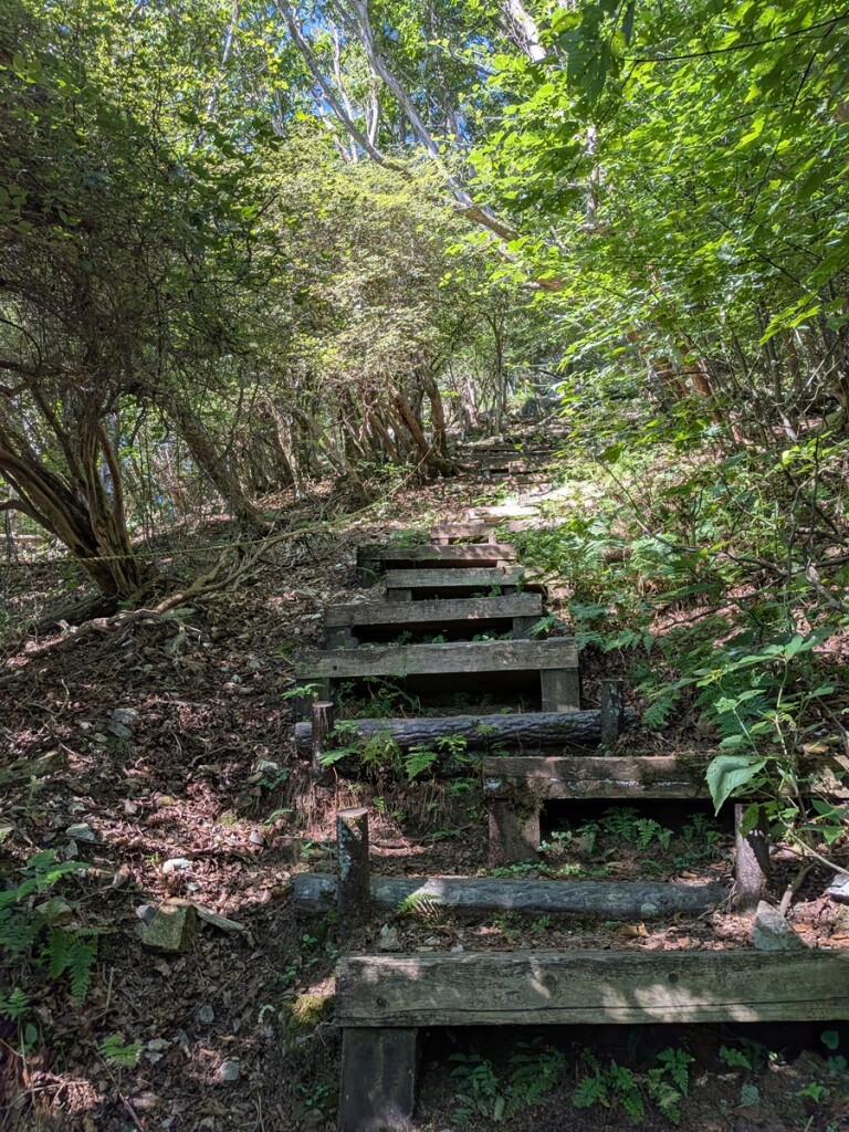 1000000162 - コピー