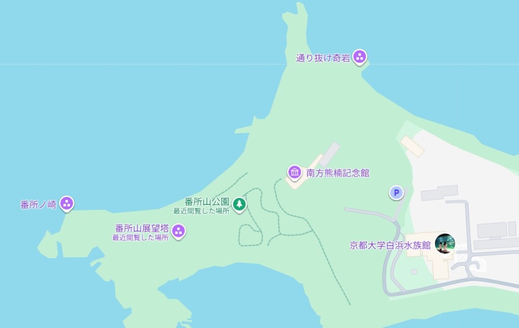 スクリーンショット_13-3-2026_172433_www.google.com