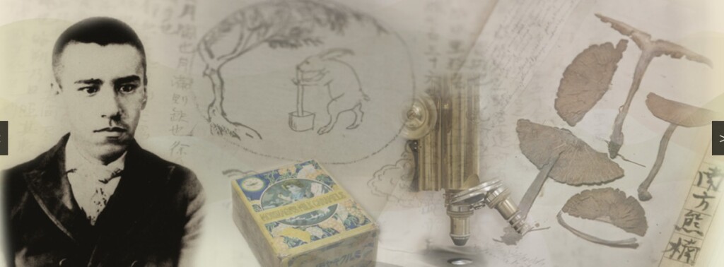 スクリーンショット_13-3-2026_1768_www.minakatakumagusu-kinenkan.jp