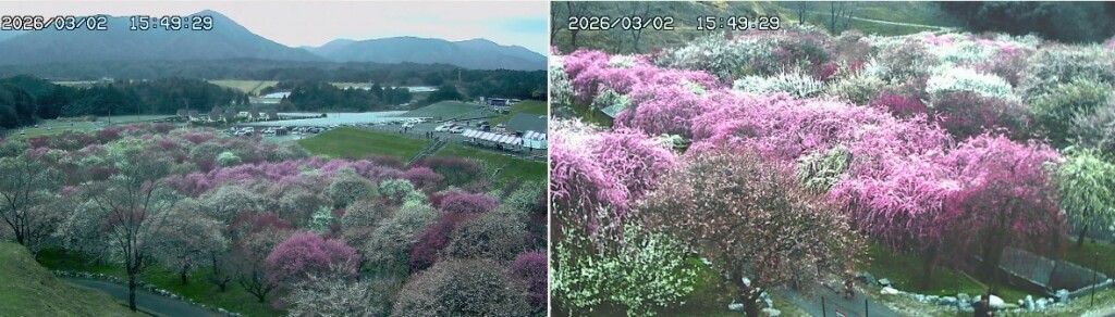 スクリーンショット_2-3-2026_154955_www.inabe-nougyoukouen.com