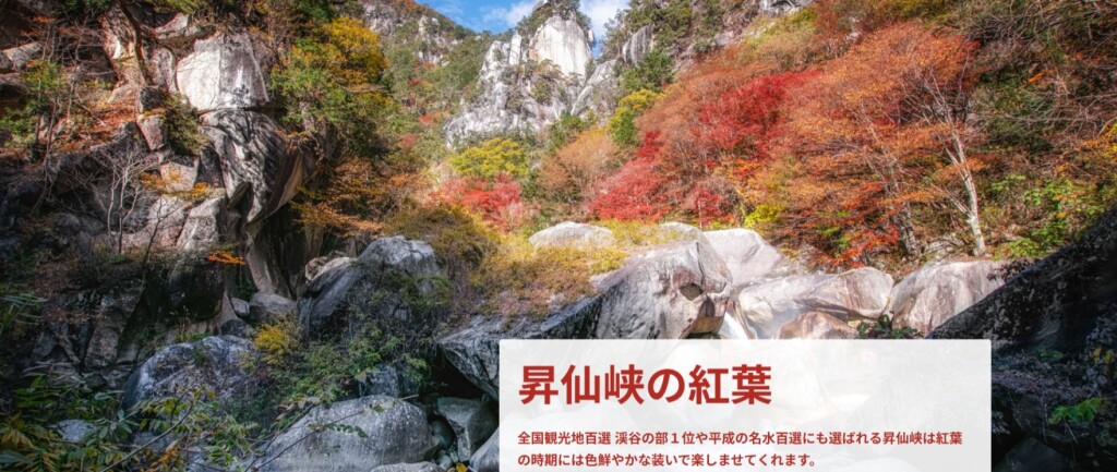 スクリーンショット_5-3-2026_144942_www.shosenkyo-kankoukyokai.com