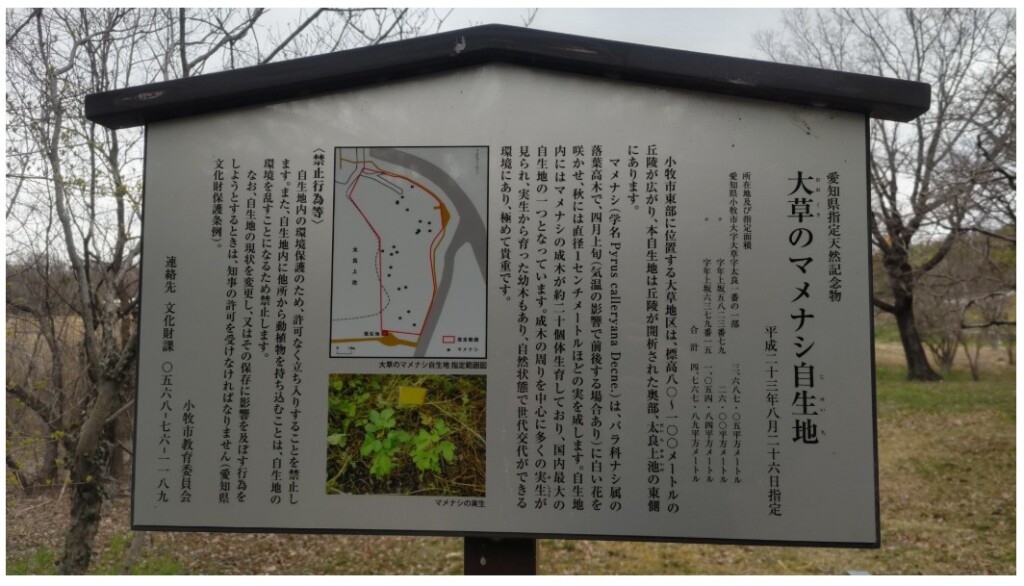 スクリーンショット_5-3-2026_165610_37nwcvd8sxwi.blog.fc2.com