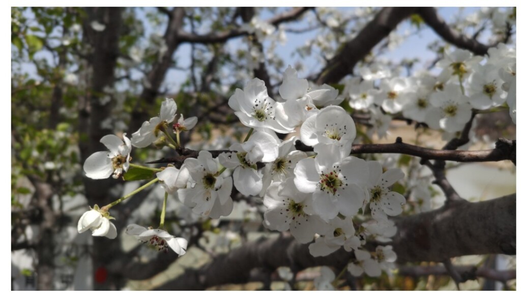 スクリーンショット_5-3-2026_165636_37nwcvd8sxwi.blog.fc2.com