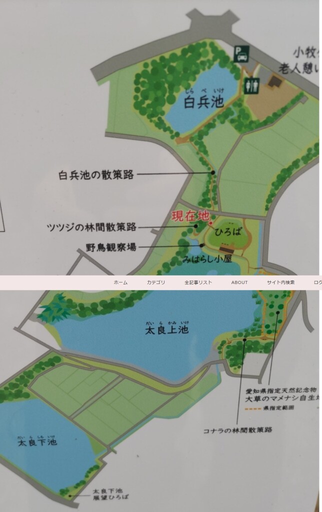 スクリーンショット_5-3-2026_165717_37nwcvd8sxwi.blog.fc2.com