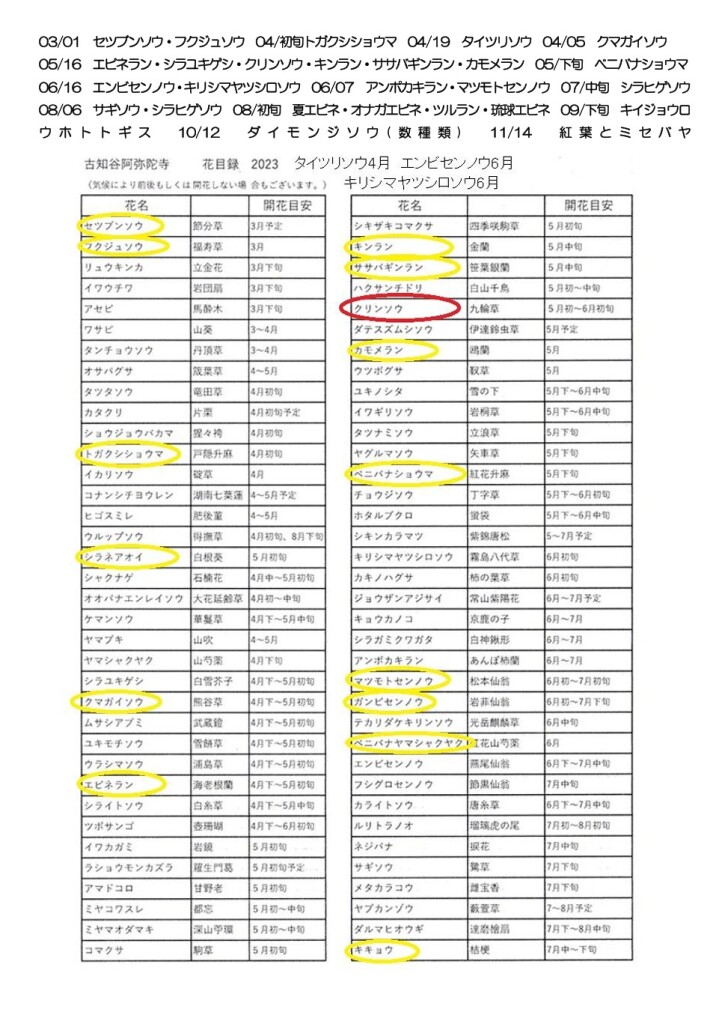 スクリーンショット_7-3-2026_112429_yamatabi-tenku-club.jpn.org