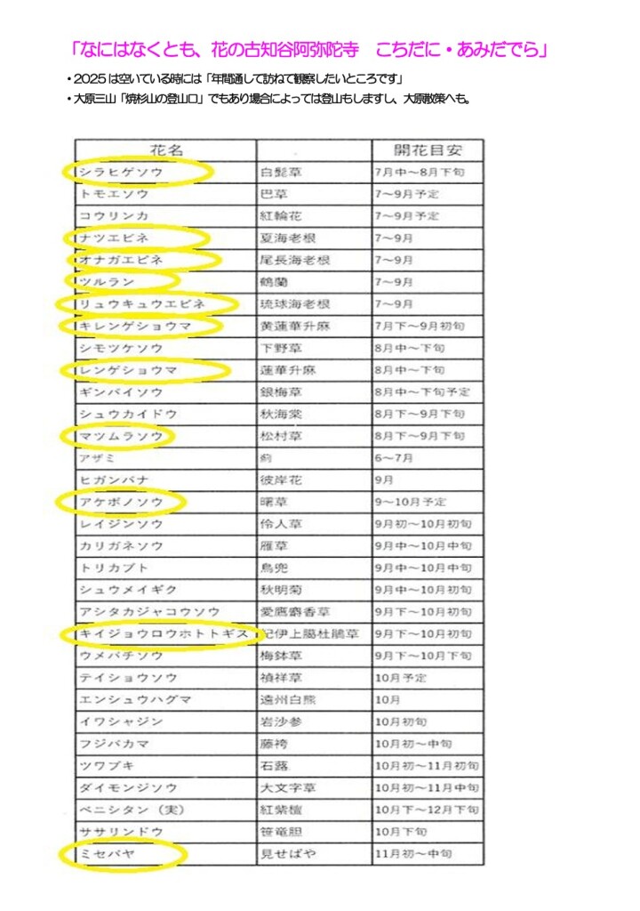 スクリーンショット_7-3-2026_112443_yamatabi-tenku-club.jpn.org