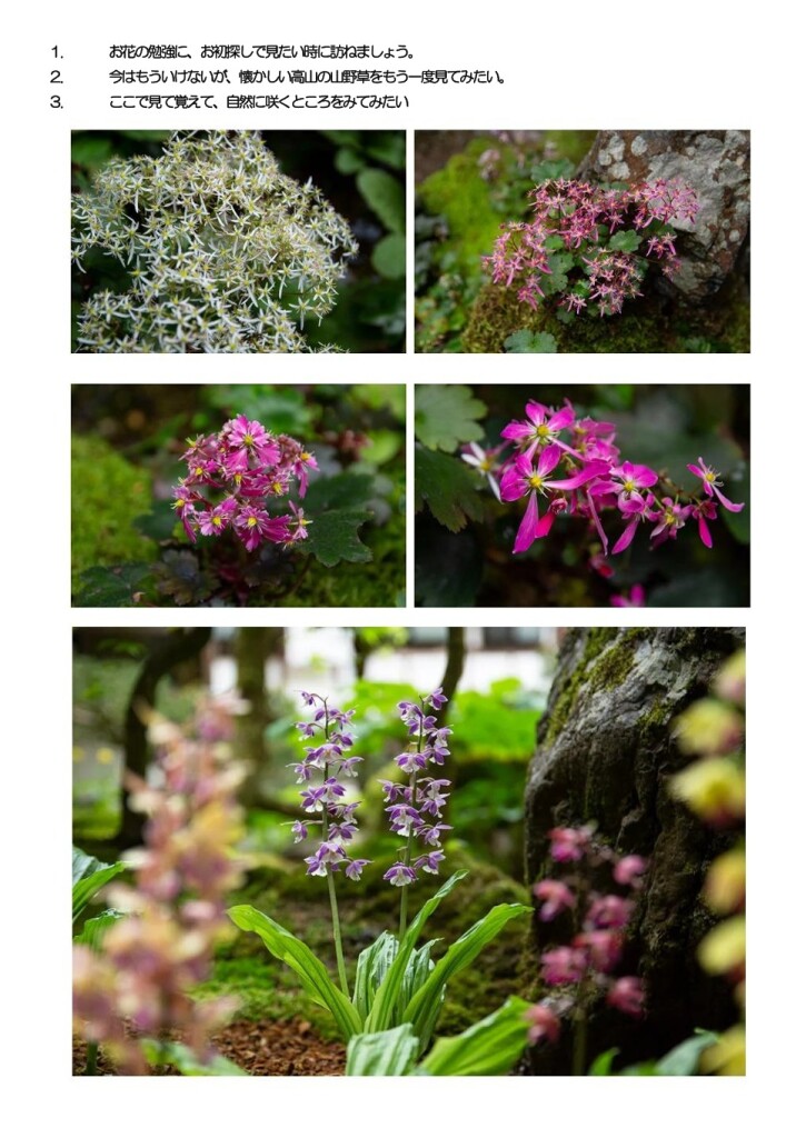 スクリーンショット_7-3-2026_112456_yamatabi-tenku-club.jpn.org