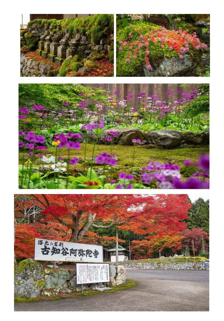 スクリーンショット_7-3-2026_112513_yamatabi-tenku-club.jpn.org