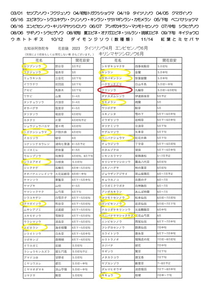 スクリーンショット_8-3-2026_10836_yamatabi-tenku-club.jpn.org