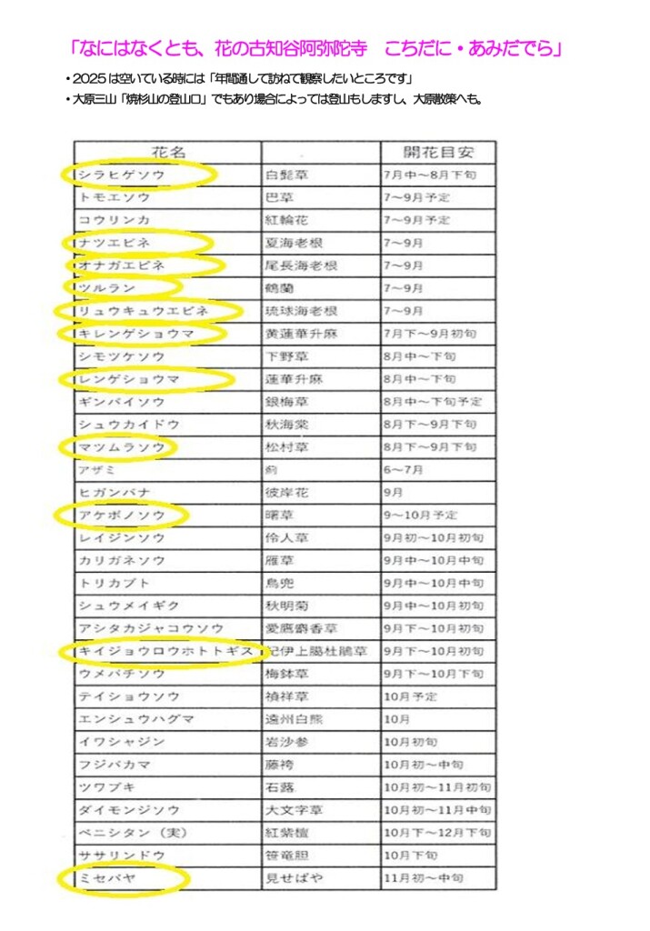 スクリーンショット_8-3-2026_10850_yamatabi-tenku-club.jpn.org