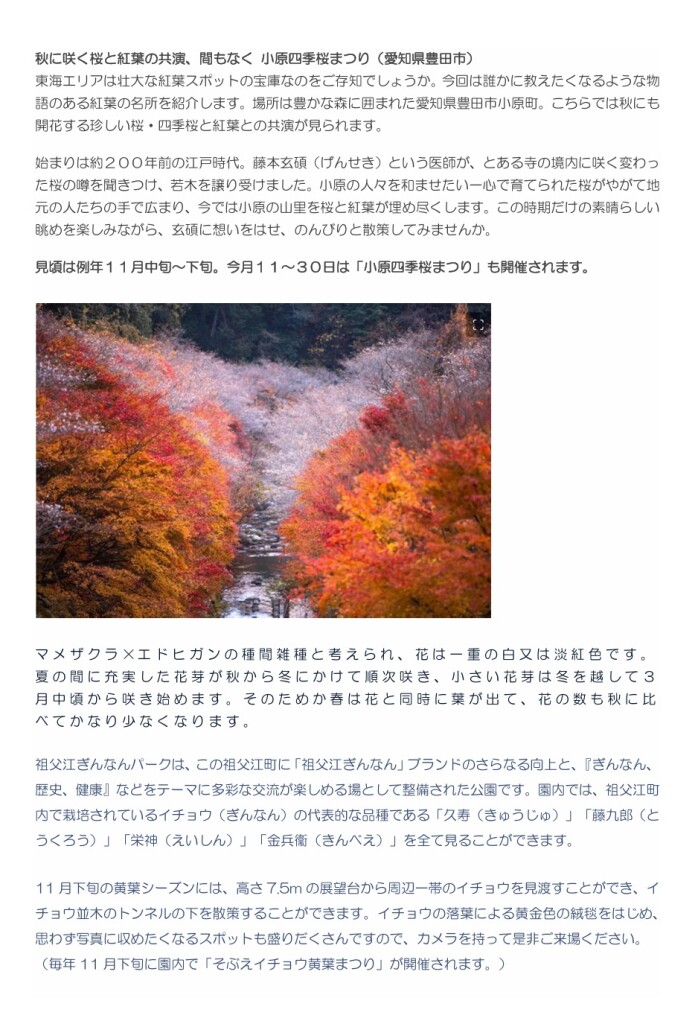 スクリーンショット_8-3-2026_122122_yamatabi-tenku-club.jpn.org