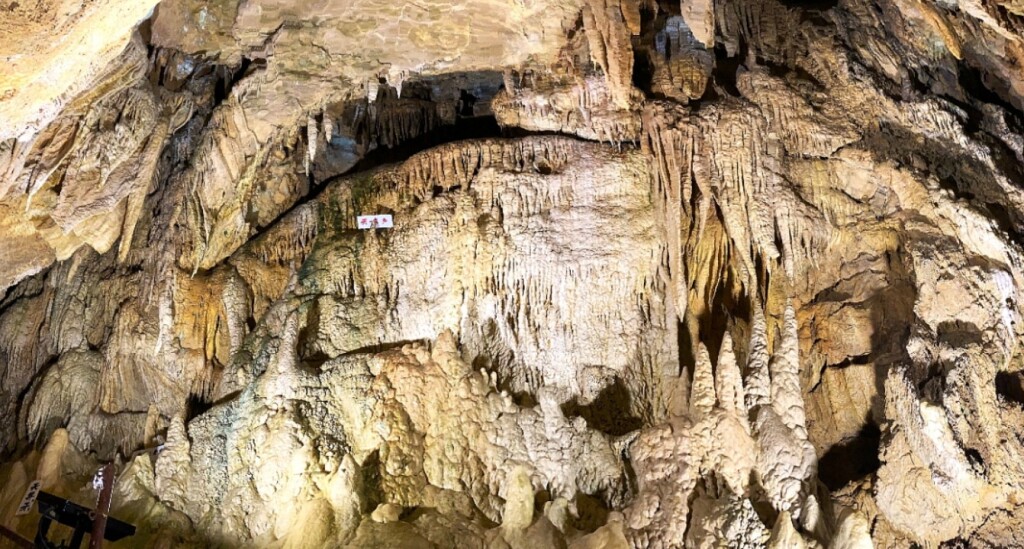 スクリーンショット_9-3-2026_132443_www.ootakicave.com